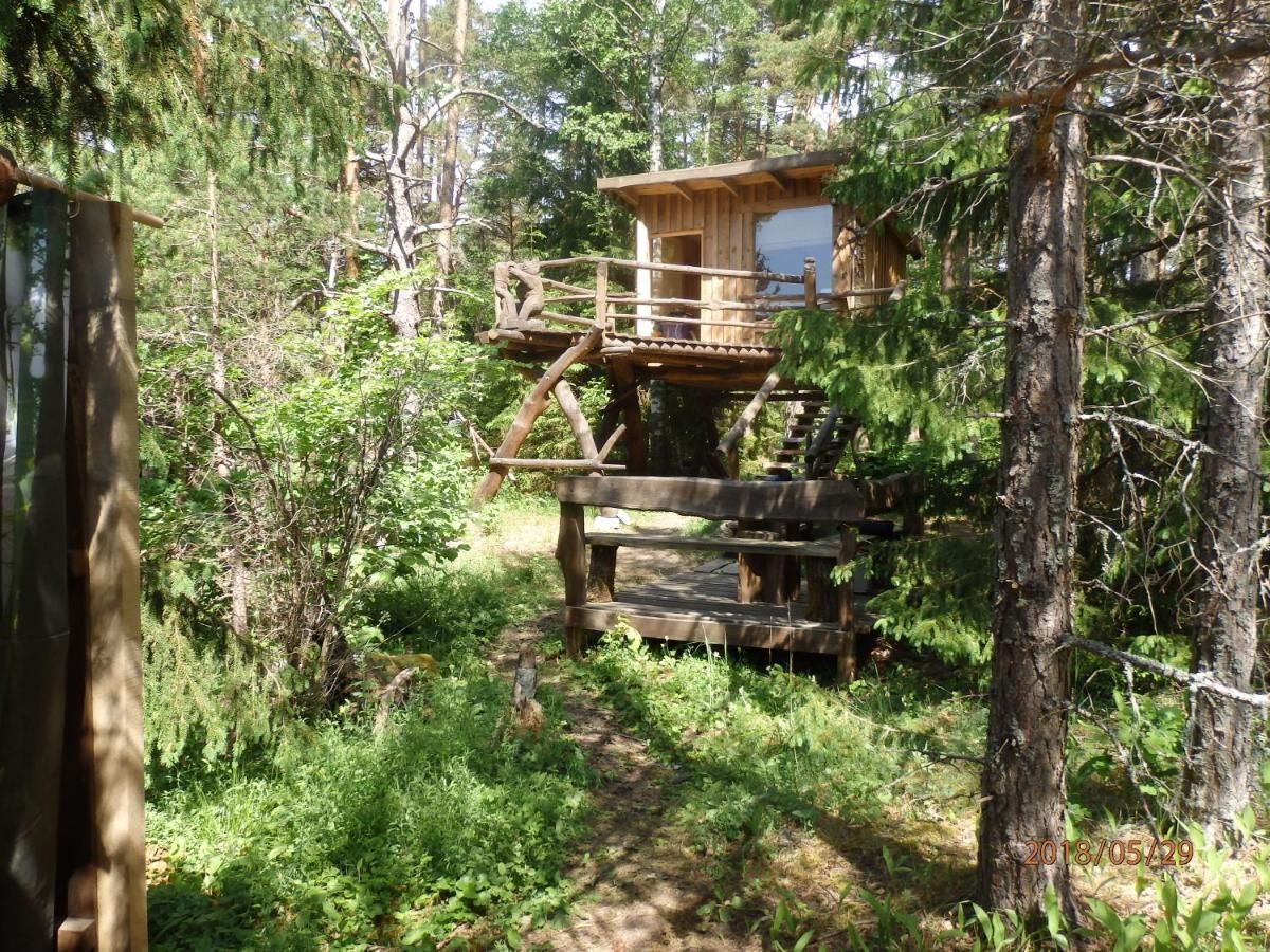 Дома для отпуска Karu Treehouse Soela-4